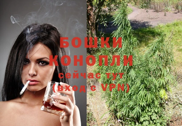 ПСИЛОЦИБИНОВЫЕ ГРИБЫ Сосновый Бор