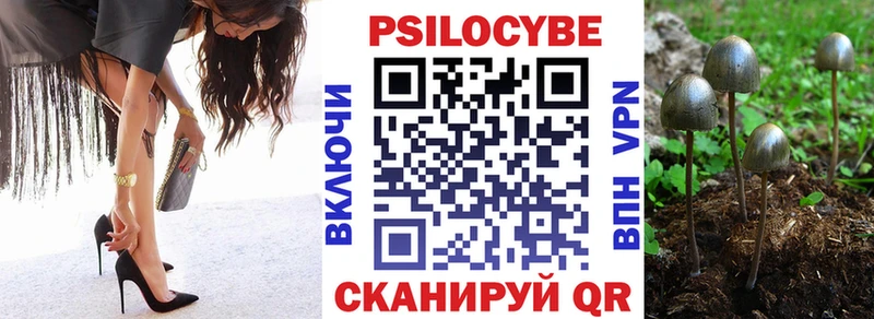 Купить  Далматово  Галлюциногенные грибы Cubensis 
